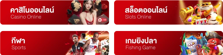 บริการของเรา